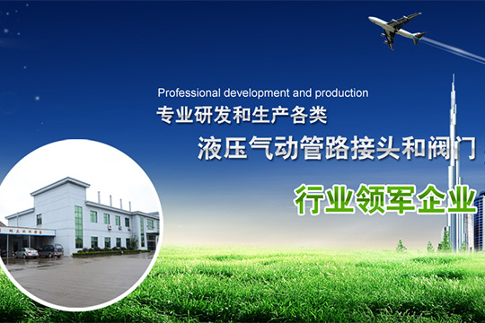 寧波環洲管閥件有限公司